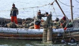 演习区外吃瓜渔民,揭秘海上“吃瓜”背后的故事”